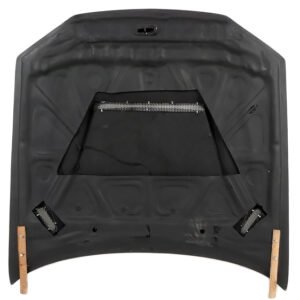 SPEC-R STYLE CARBON FIBER HOOD FOR 1999-2002 NISSAN SKYLINE R34 GTR